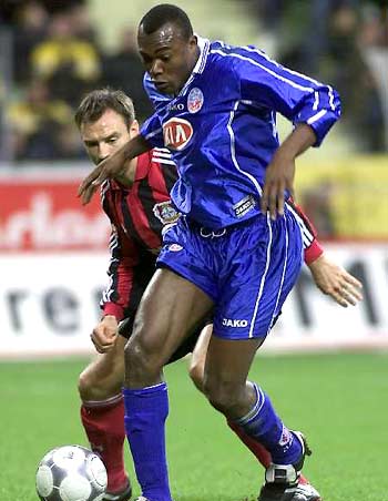 牛敲响了警 牛敲响了警