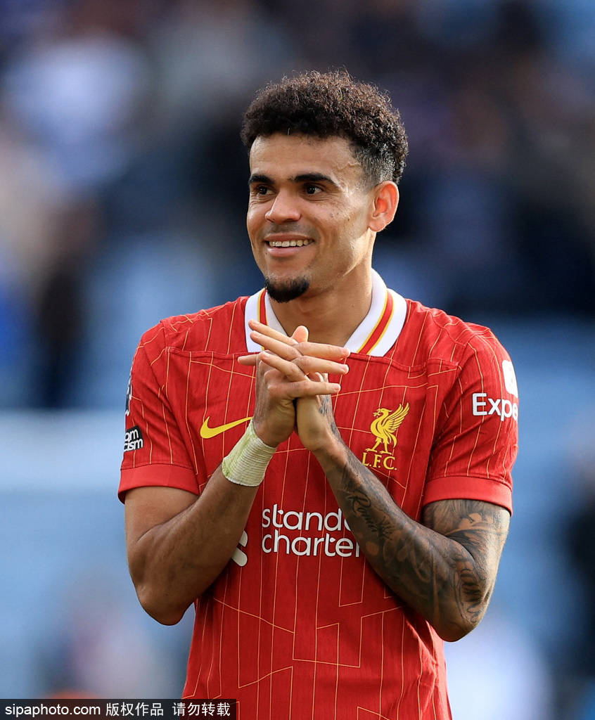 国际赛场上 国际赛场上